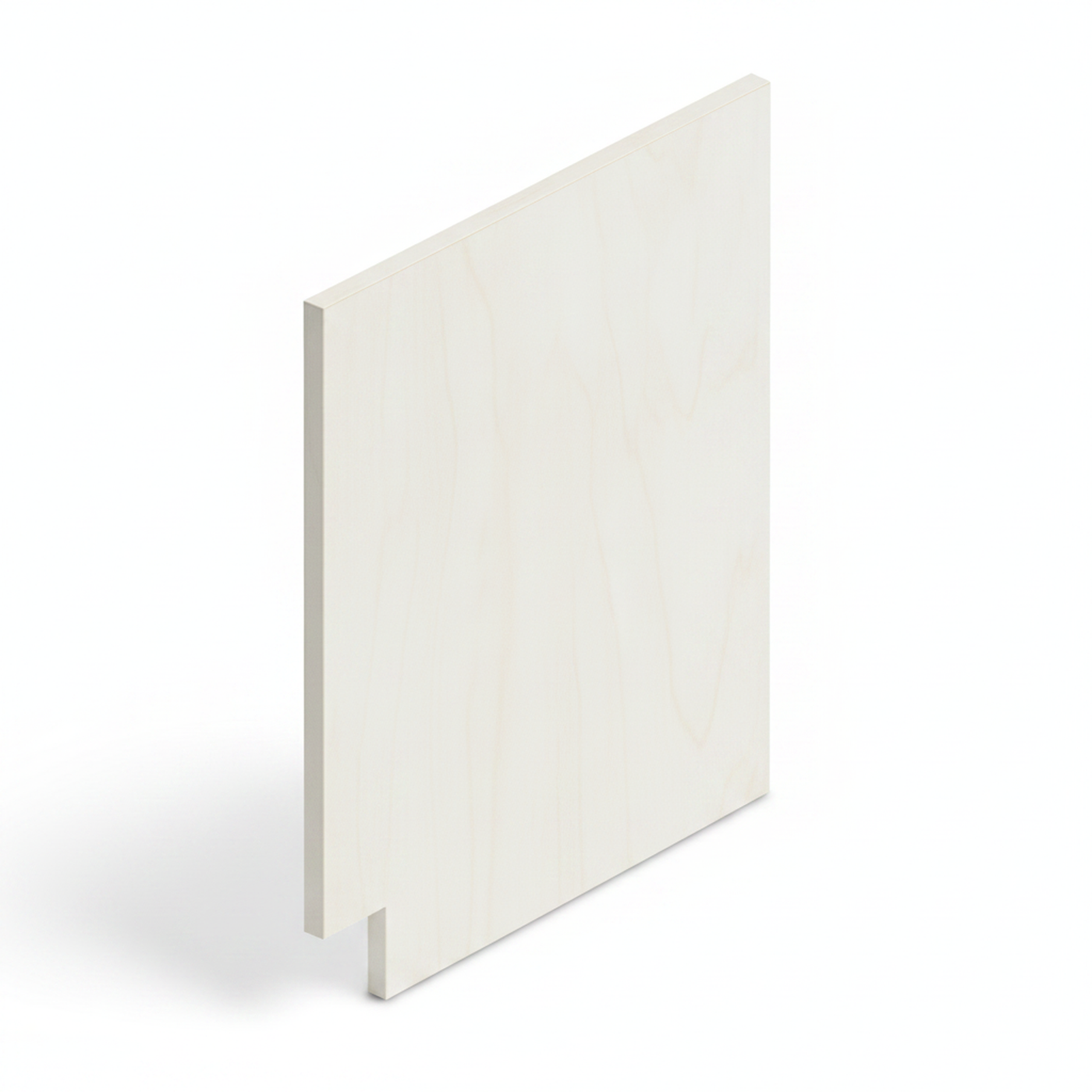 Dishwasher Panel